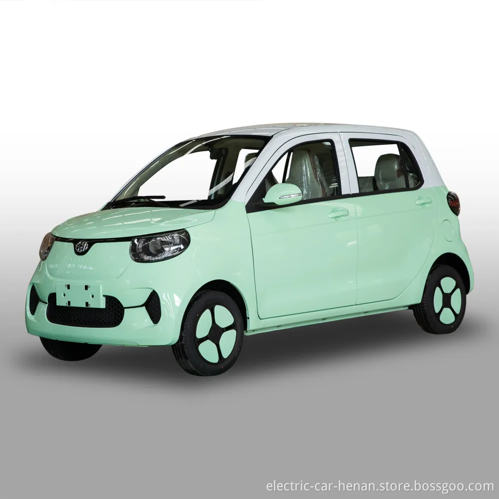 Popular Family Use Young People Electric Car